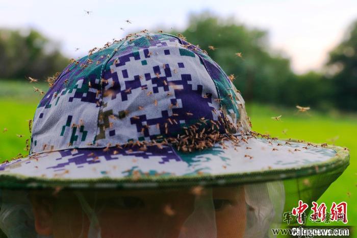 防蚊帽上落满了蚊虫。　徐明远 摄